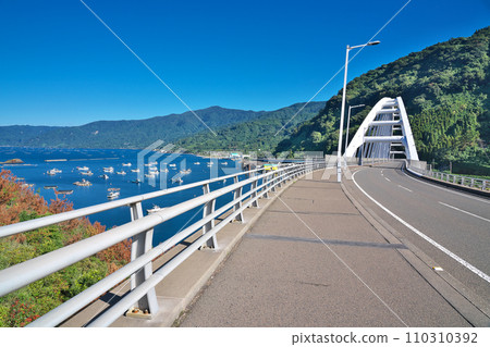 [牛根大橋] 鹿兒島縣鹿兒島市黑神町 110310392