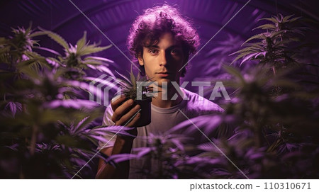 Holding small canabis plant Holding small canabis plant 110310671