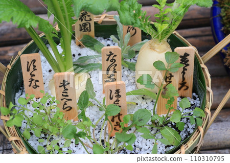 七草籃 春天七草種植 110310795