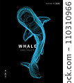Abstract vector illustration of whale  , draw line art style. 110310966