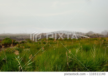 Misty landscape of the French Arcachon Basin in winter 110311140