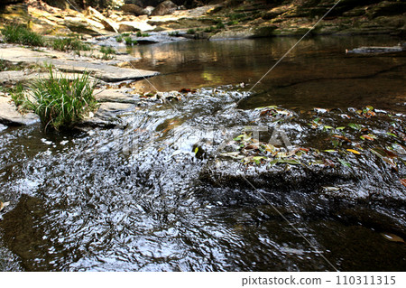 Nagasaki Prefecture's tourist spot "Senwata Valley" Walking course to Ryuzusen 110311315