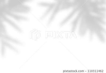 Soft shadows of palm leaves on white Soft shadows of palm leaves on white 110311462