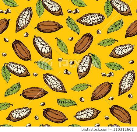 Cocoa Fruits. Vector drawing Cocoa Fruits. Vector drawing 110311601