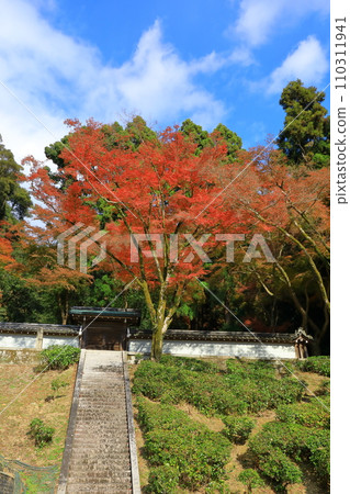 Emperor Takakura Goseikanji Mausoleum and autumn leaves 110311941
