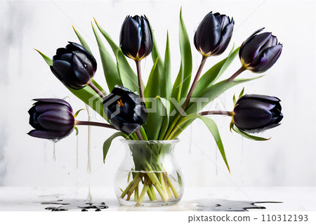 Beautiful dark purple tulips. 110312193