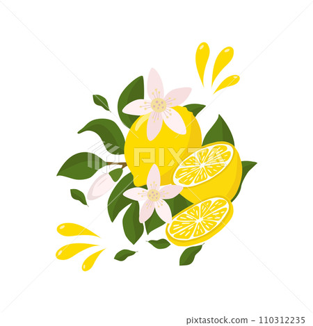 A bright composition of a lemon sprig with a whole lemon half, flying splashes of lemon juice and decorated with flowers. Citrus composition. For the design of postcards, prints, stickers and other us 110312235