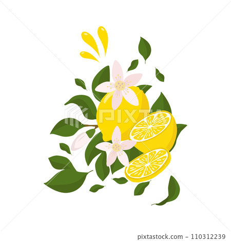 A bright composition of lemon twigs with a whole lemon half, sprinkled with lemon juice and decorated with flowers. Citrus composition. For the design of postcards, prints, stickers and other uses. 110312239