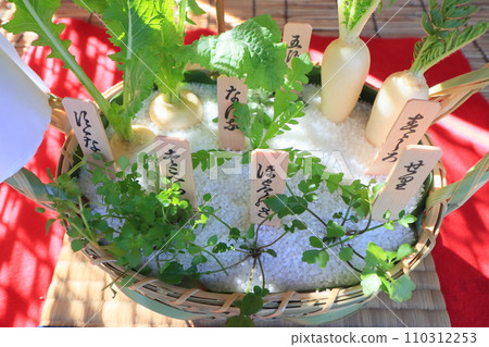 七草籃 春天七草種植 110312253