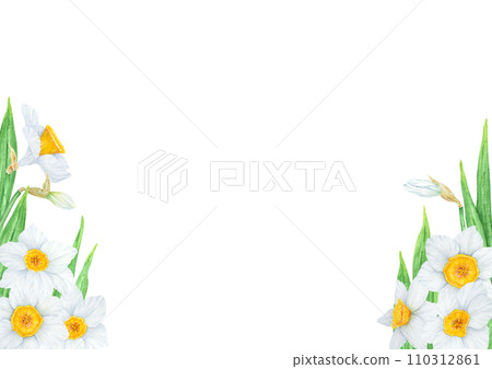 Narcissus, watercolor illustration of daffodils. Hand drawn watercolor frame of a fragrant spring garden flowers. White and yellow botanical painting for greeting, wedding, Easter, Mothers day print 110312861