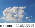 Infinite Skies 110313315
