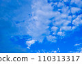 Whispering Leaves of Tranquility white cloud with blue sky 110313317