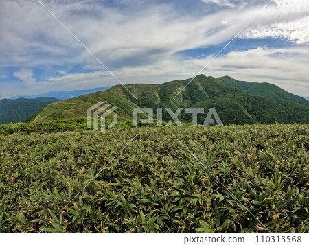 從藥師山到小杉山、小鷲倉山、和岳岳的山脊線 110313568