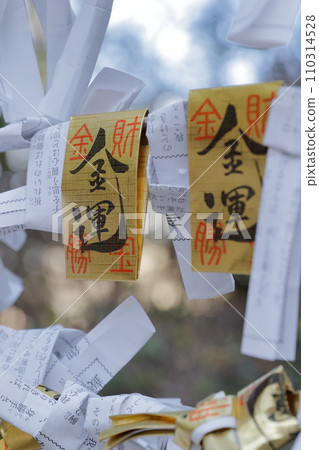 財運(愛知縣豐田市佐毛神社) 財運(愛知縣豐田市佐毛神社) 110314528