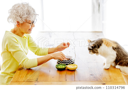 Senior woman preparing cat food (cat/owner) 110314796