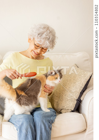 Senior woman brushing a cat (cat/owner) 110314802