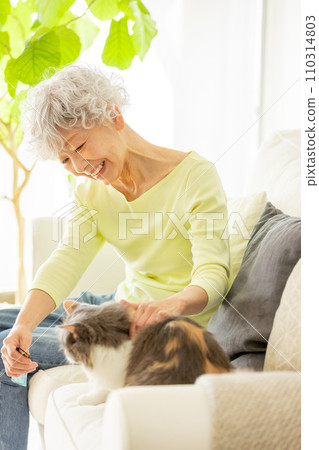 Senior woman giving a snack to a cat (cat/owner) 110314803
