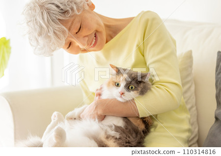 Japanese senior woman holding a cat at home (cat/owner) Japanese senior woman holding a cat at home (cat/owner) 110314816