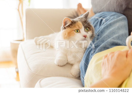 動物治療(貓/主人) 動物治療(貓/主人) 110314822