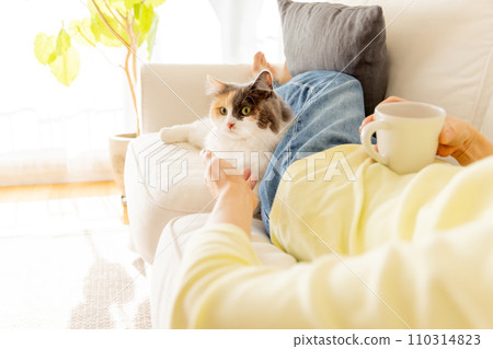 動物治療(貓/主人) 動物治療(貓/主人) 110314823