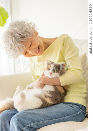 Japanese senior woman holding a cat at home (cat/owner) 110314829