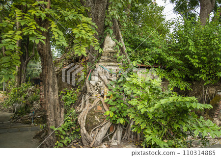 THAILAND AMPHAWA WAT BANG KAPOM THAILAND AMPHAWA WAT BANG KAPOM 110314885