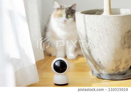 pet camera 110315019