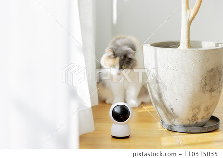 pet camera pet camera 110315035