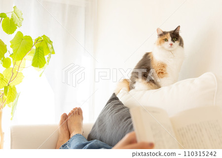 與貓的生活：一隻貓踩在一個躺在沙發上讀書的女人身上（貓/主人） 110315242