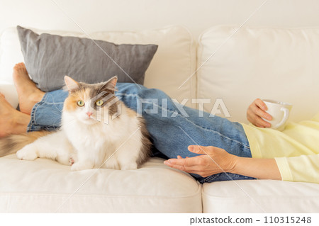 Animal therapy (cat/owner) 110315248