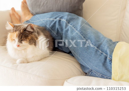 Animal therapy (cat/owner) 110315253