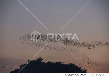 THAILAND RATCHABURI ONE MILLION BAT THAILAND RATCHABURI ONE MILLION BAT 110315360