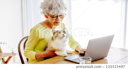 Japanese senior woman using a computer while holding a cat at home (cat owner) 110315497