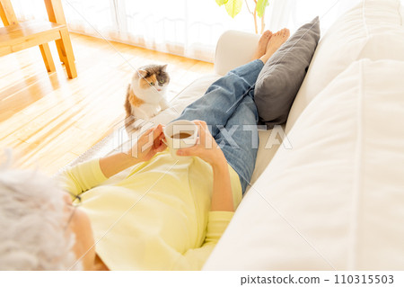 Cats who are concerned about human food (cat/owner) Cats who are concerned about human food (cat/owner) 110315503