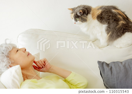 A cat whose owner is concerned about (cat/owner) A cat whose owner is concerned about (cat/owner) 110315543