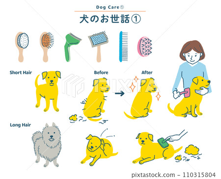 Illustration set about dog brushing 110315804