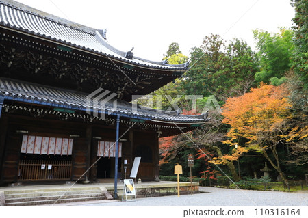 京都寺廟仙入寺佛堂及秋葉 110316164