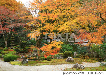 Kyoto Autumn Sennyuji Temple Gozasho Garden 110316228