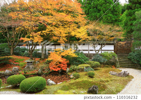 Kyoto Autumn Sennyuji Temple Gozasho Garden Kyoto Autumn Sennyuji Temple Gozasho Garden 110316232