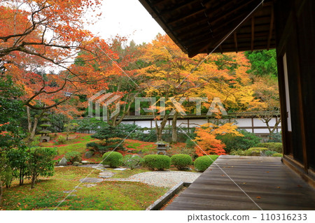 Kyoto Autumn Sennyuji Temple Gozasho Garden Kyoto Autumn Sennyuji Temple Gozasho Garden 110316233