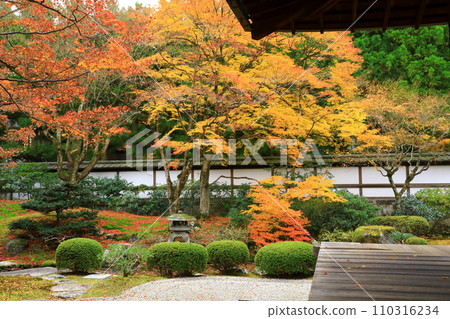 Kyoto Autumn Sennyuji Temple Gozasho Garden Kyoto Autumn Sennyuji Temple Gozasho Garden 110316234