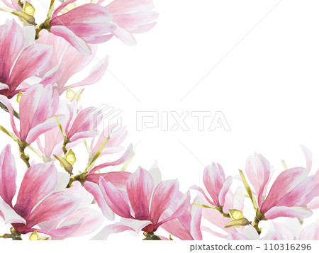 Floral banner, frame with watercolor pink magnolias flowers, buds and leaves Hand painted isolated illustration on white background. Botanical template for wedding, invitations or greeting cards 110316296