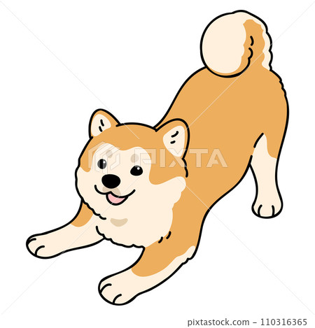 Illustration of a simple and cute Akita dog that invites you to play, with main lines 110316365