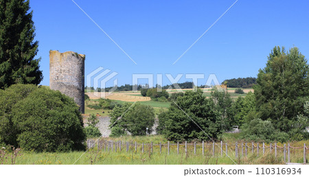 Castle Ruins  Baldenau Morbach 110316934