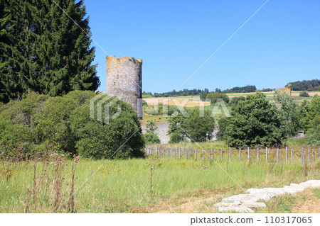 Castle Ruins  Baldenau Morbach 110317065