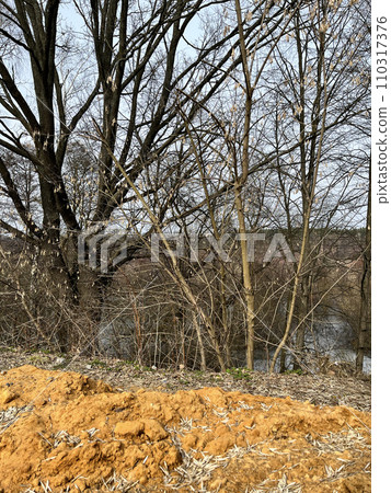 landscape - in March, river bank with a tree by the water 110317376