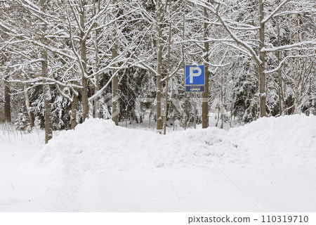 bus parking near a forest in winter 110319710