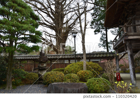 高德寺 2022-12-4 #32 110320420