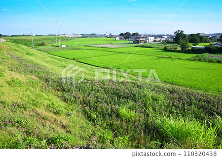 夏日鄉村景觀，從荒川岸看向埼玉市指尾木站 110320438