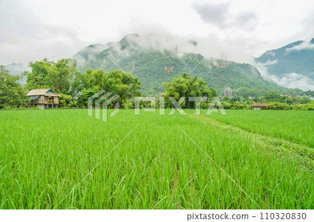 Landscape of Mai Chau 110320830